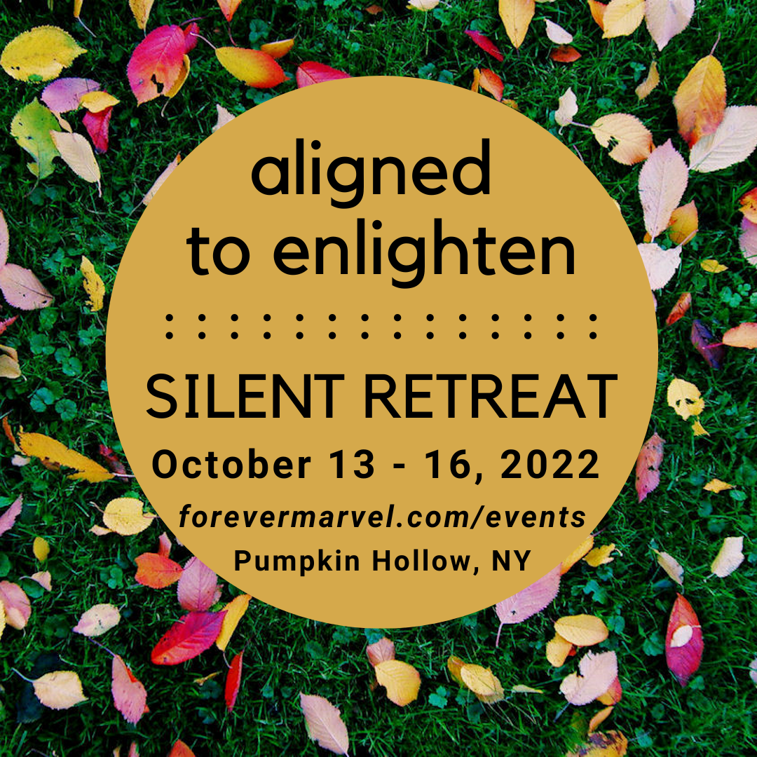 Aligned To Enlighten Silent Retreat Forever Marvel Aligned To Enlighten Silent Retreat Forever Marvel
