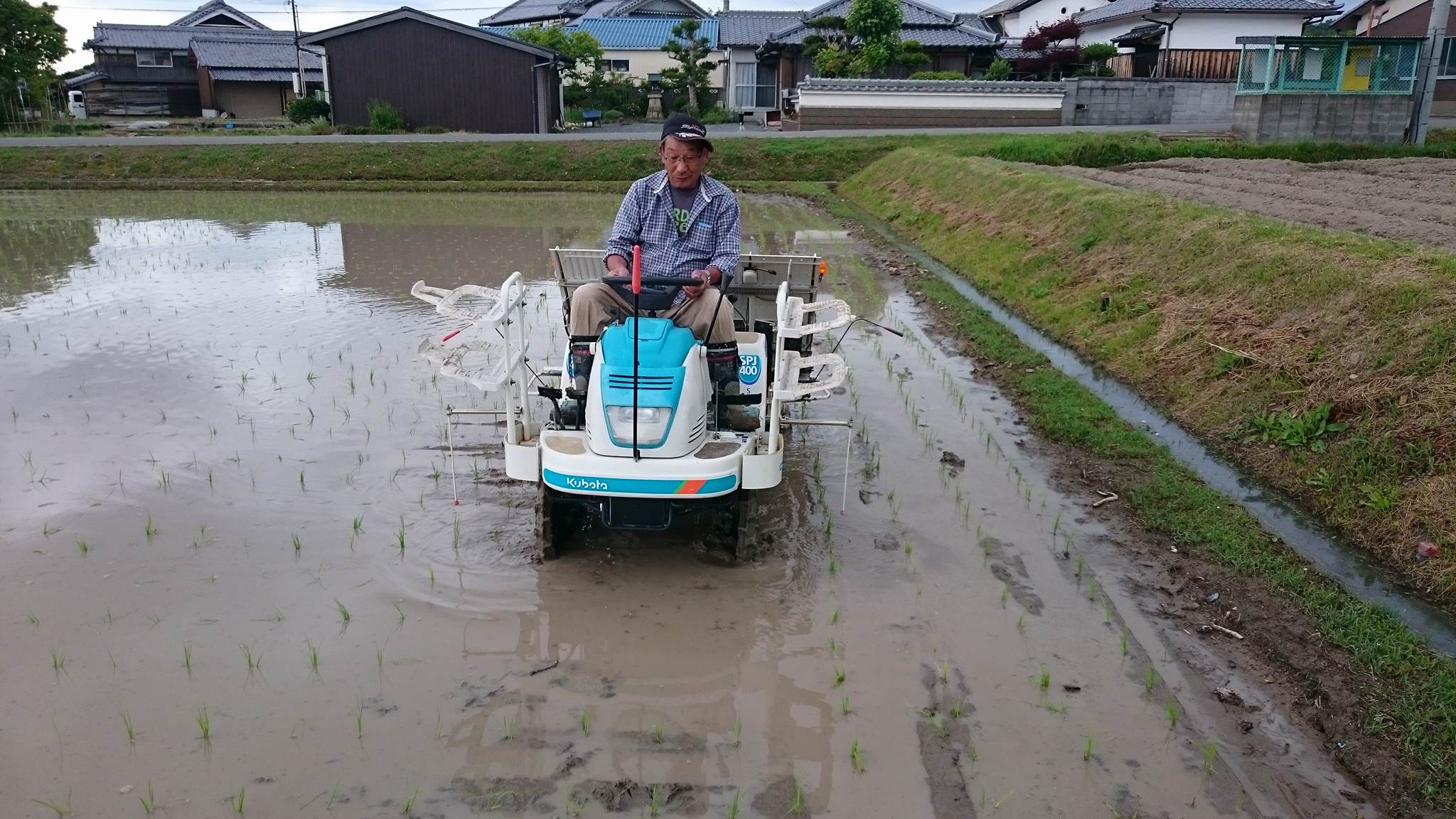 "Back in the day they used to pant the rice by hand, but now everyone in Japan uses this special tractor"