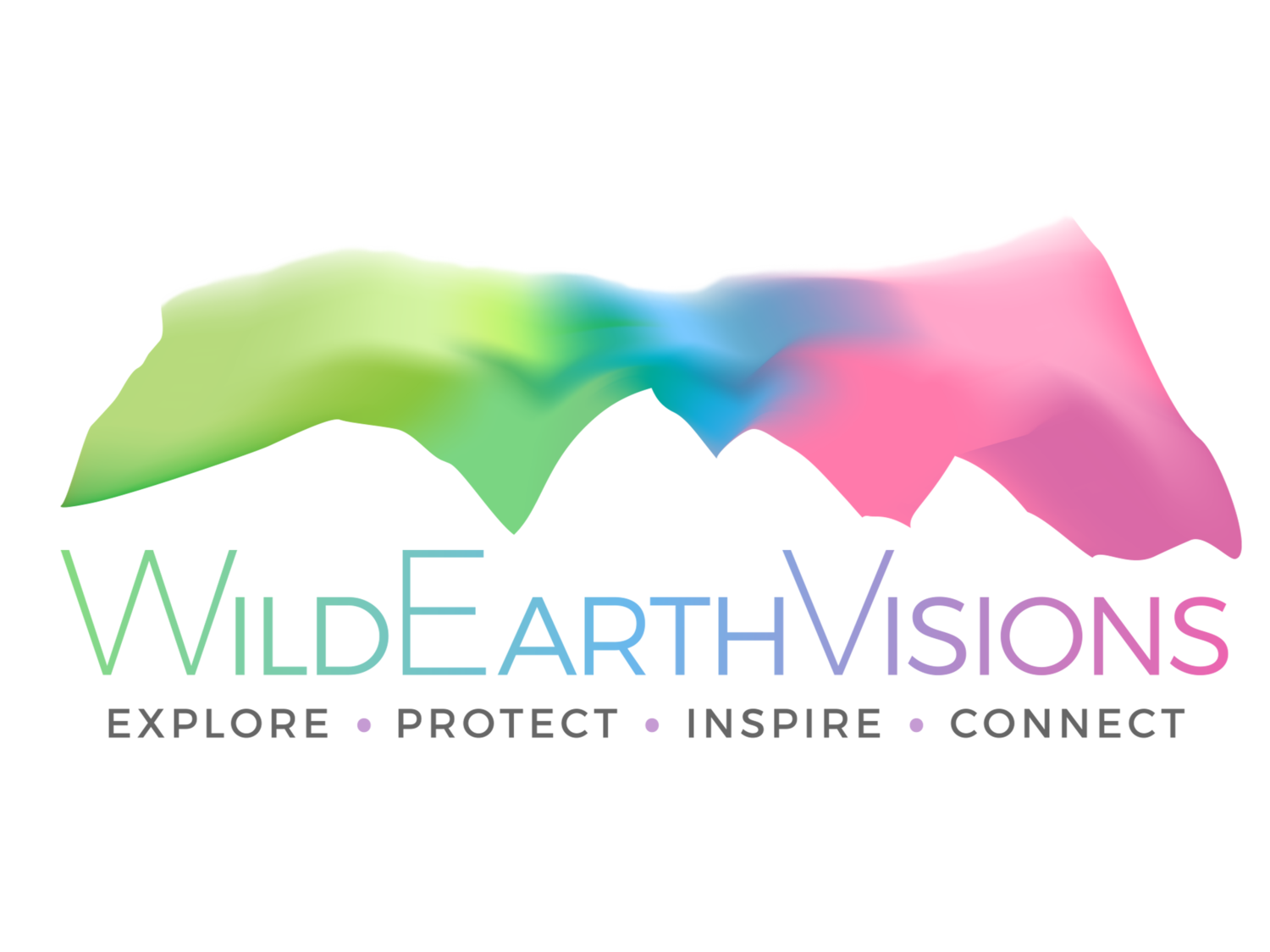 WildEarthVisions