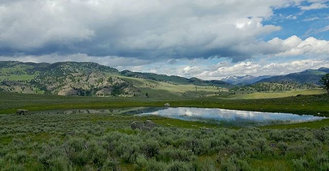 It's been more than a week without internet and so much has happened!! From a great couple of days at Ft. Washakie to Yellowstone, I've covered a loft of ground, done a couple of fun &amp; fascinating interviews for  WildEarthVisions, seen incredible