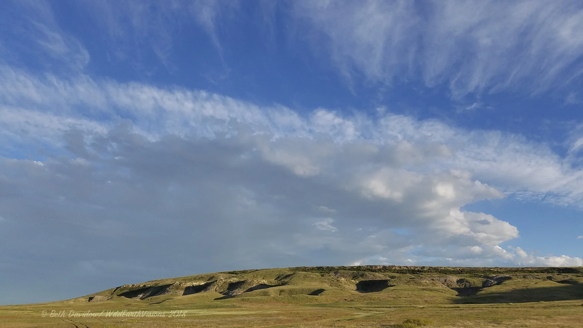 The back side of the buffalo jump. Imagine bison flowing up and over these hills!