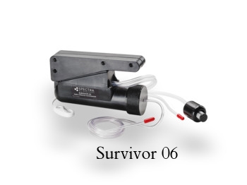 survivor-06-ae031816.jpeg