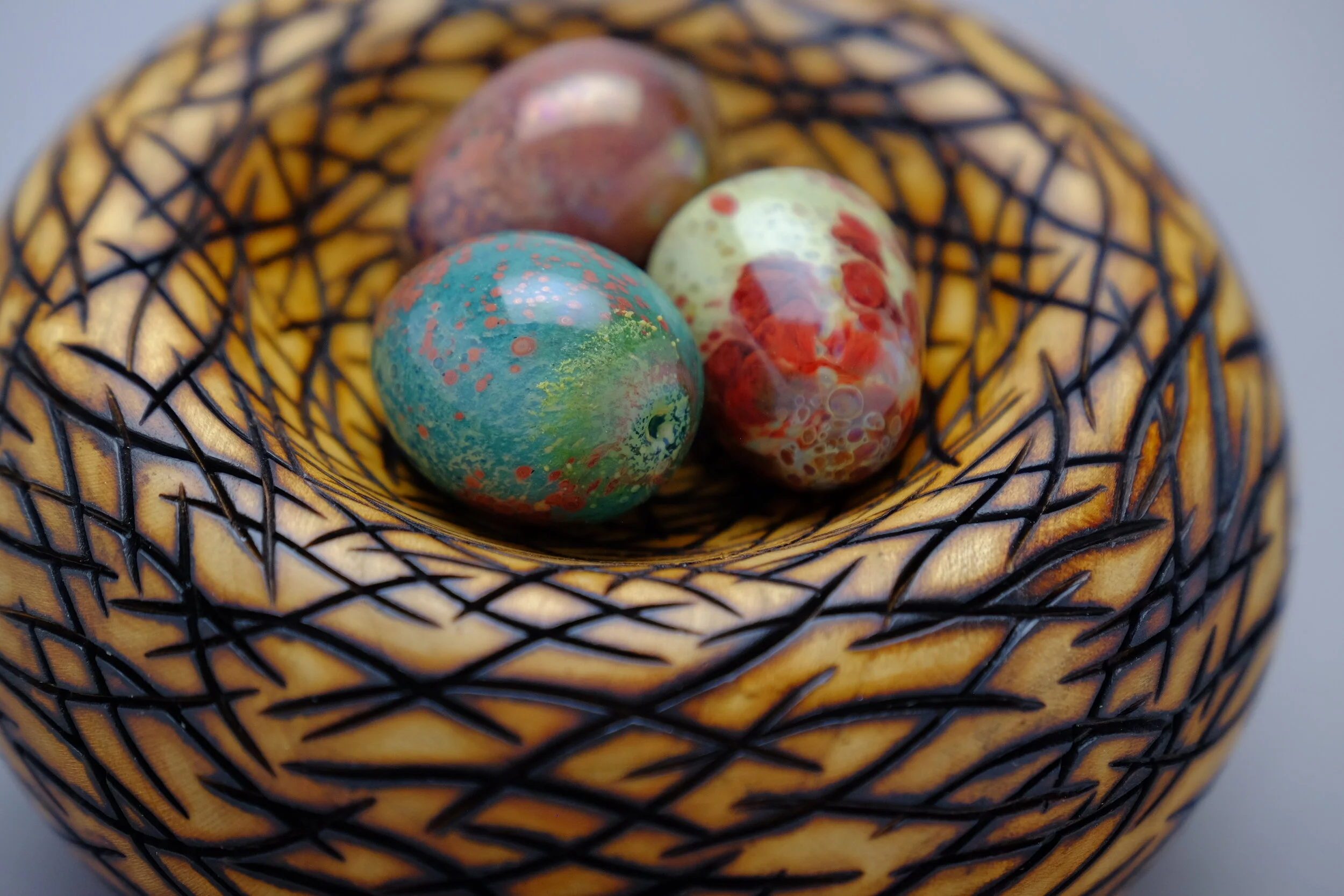 Nest and Eggs Close Up.JPG