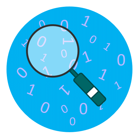 Data-Audit.png