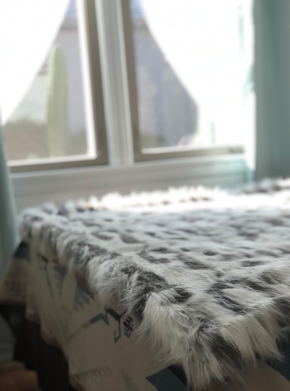 Screen Shot 2020-11-19 at 12.13.41 AM.png