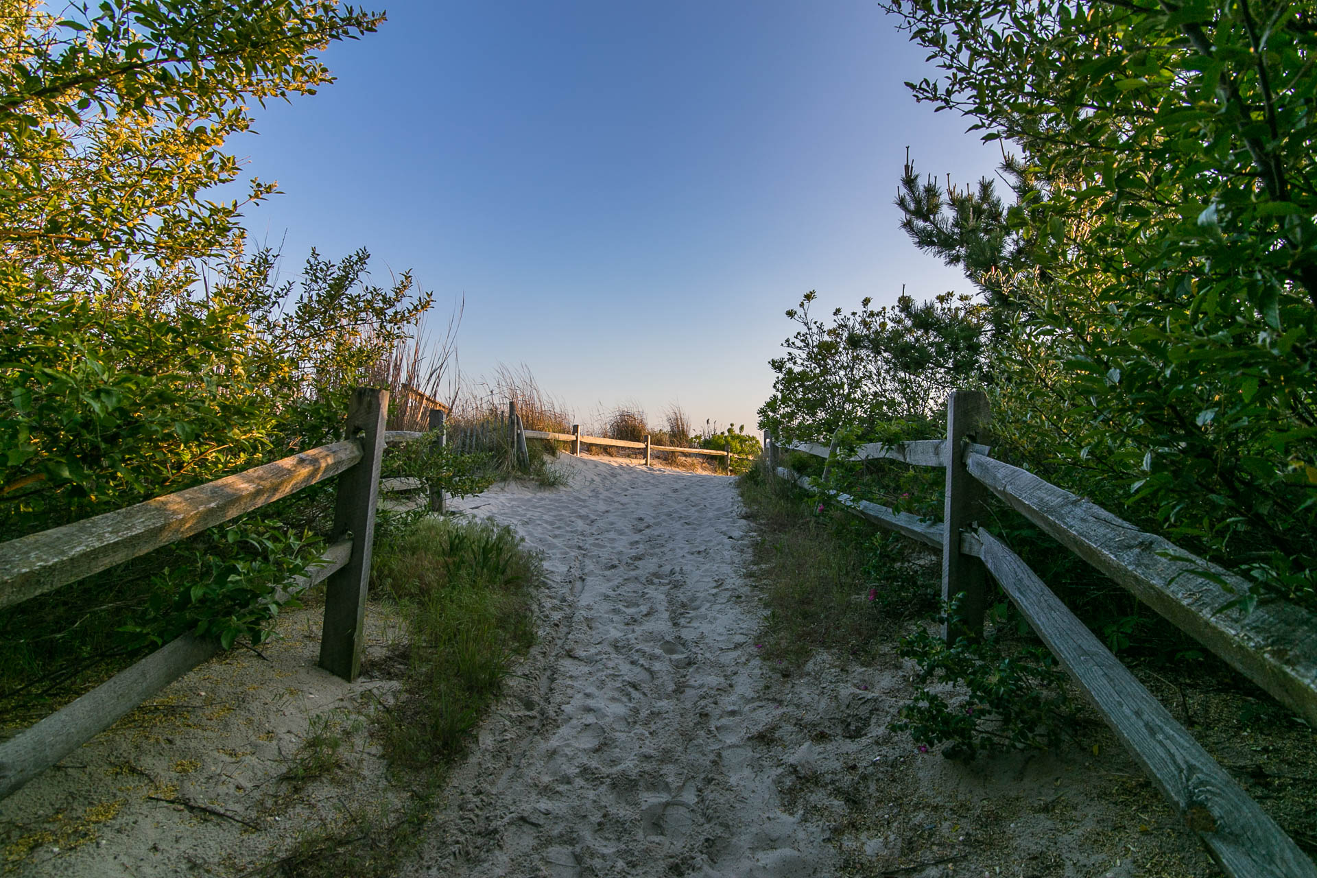 Cape May Trail