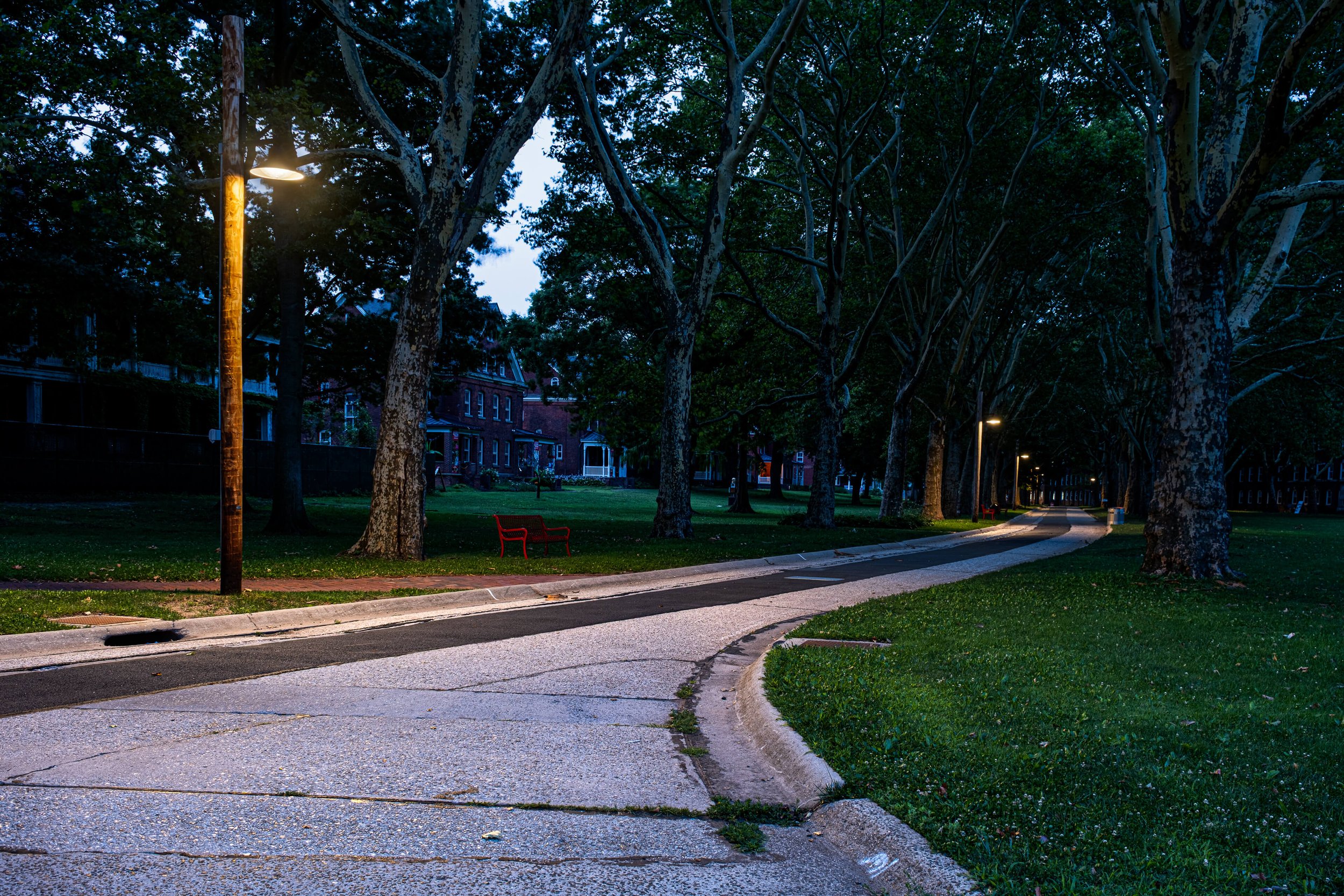 We-Ef Governor's Island-©Nicholas-Doyle-(4K)-14.jpg