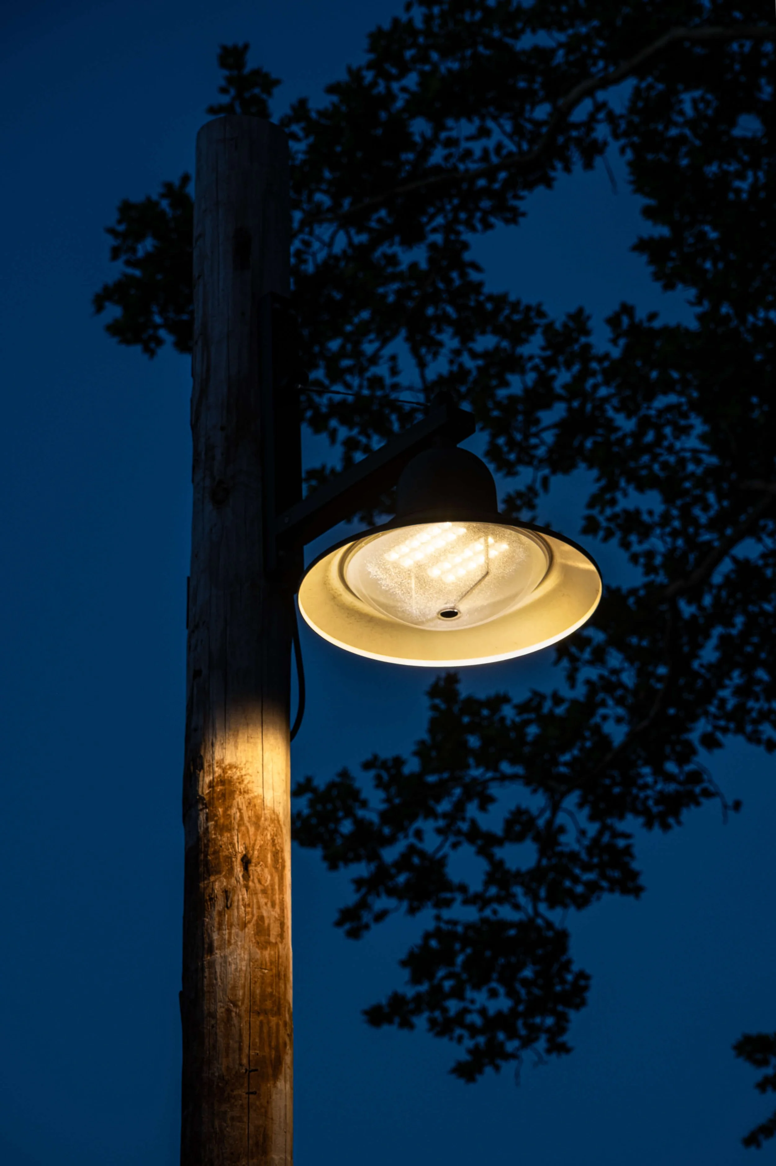 We-Ef Governor's Island-©Nicholas-Doyle-(4K)-5.jpg