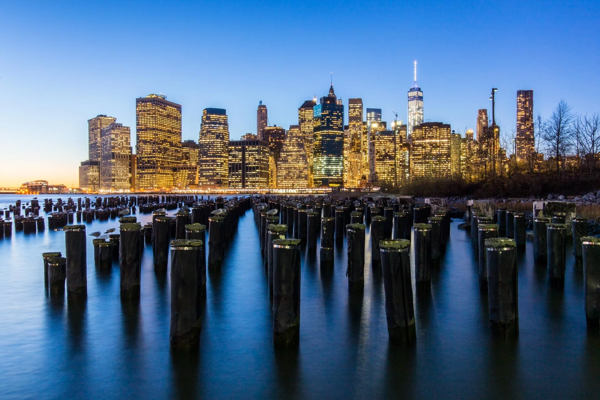 manhattan_skyline_from_brooklyn_bridge_park-3.jpg
