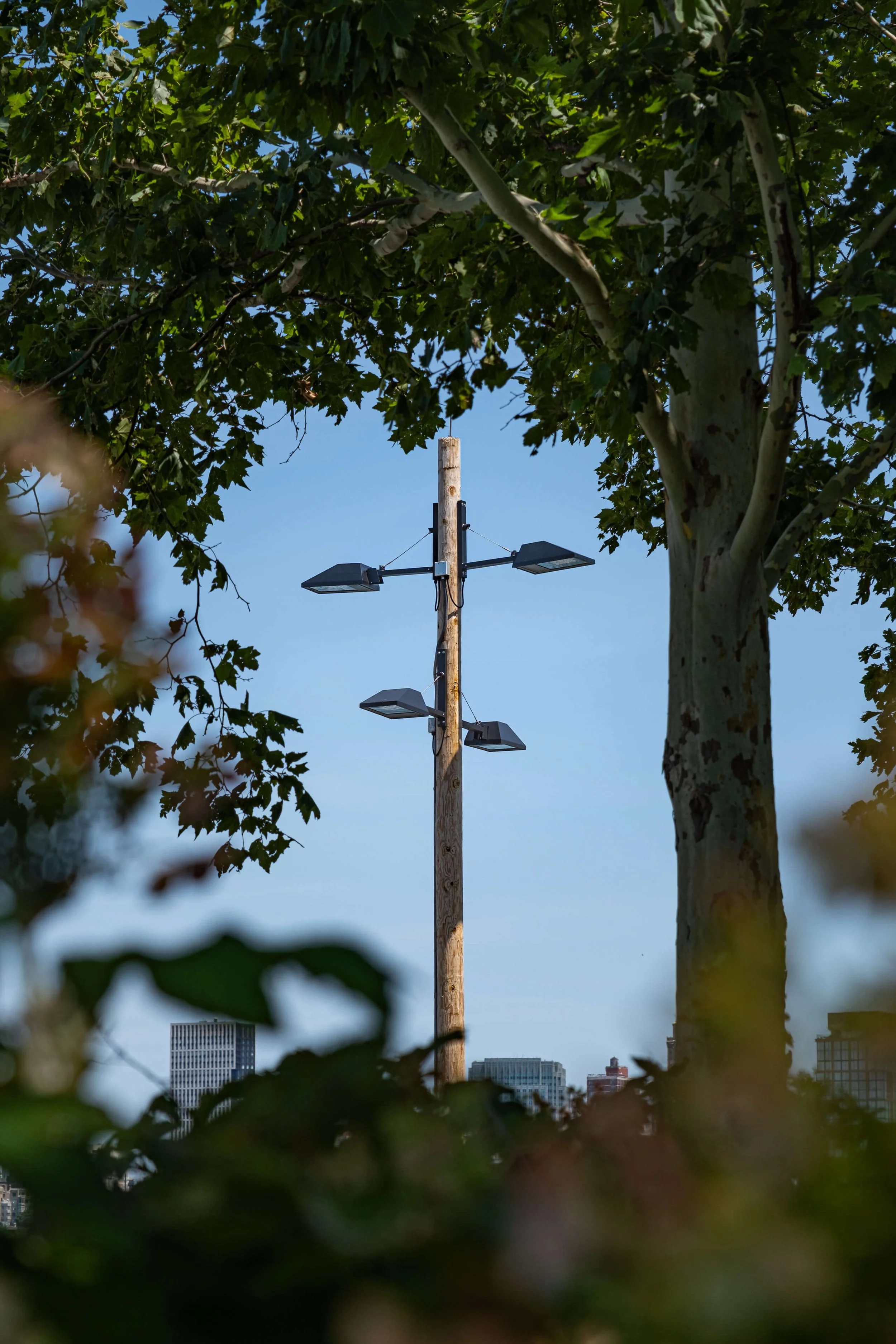 We-Ef Governor's Island-©Nicholas-Doyle-(4K)-2.jpg