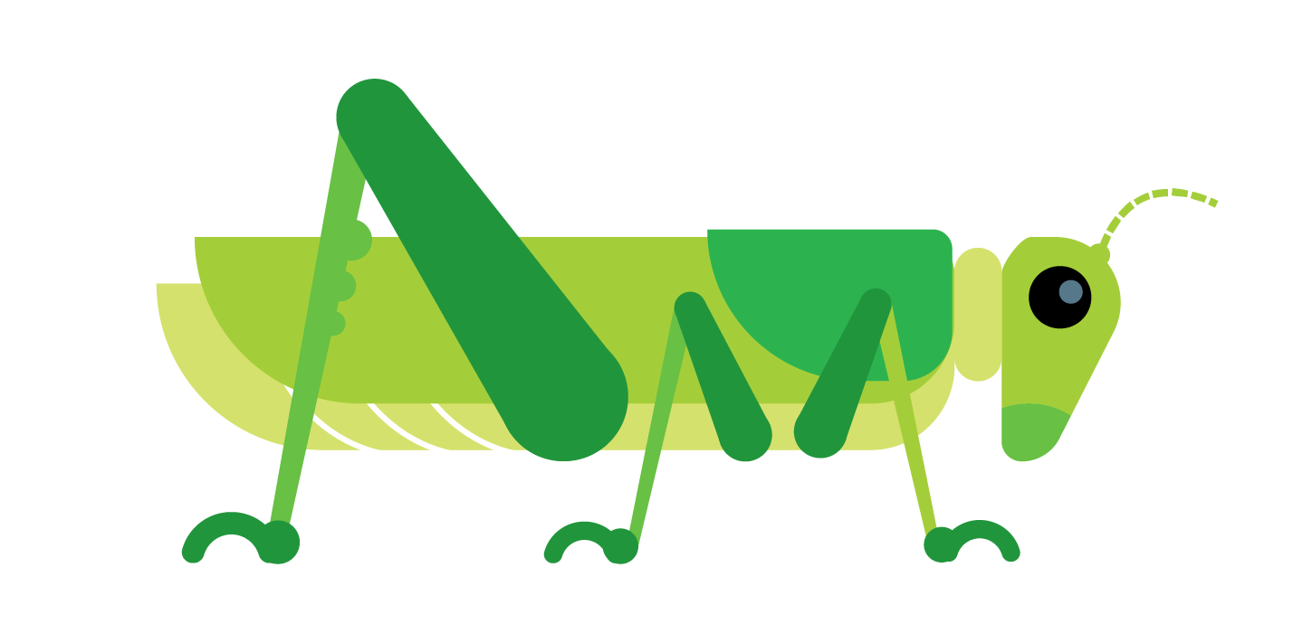 Grasshopper