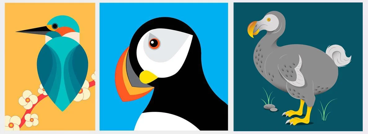 Birds