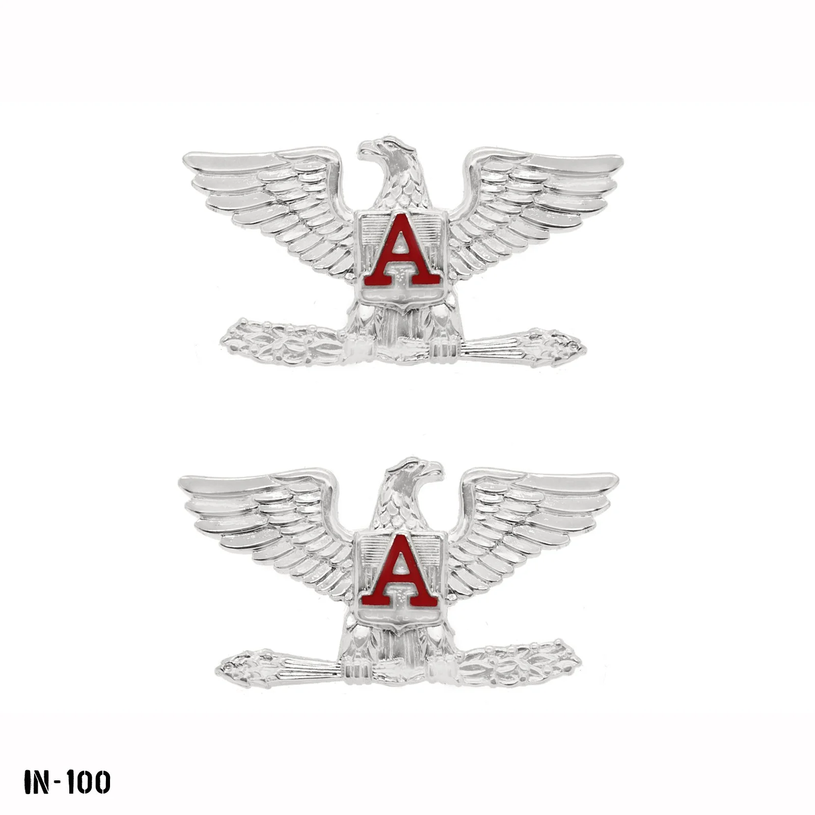 IN-100.jpg