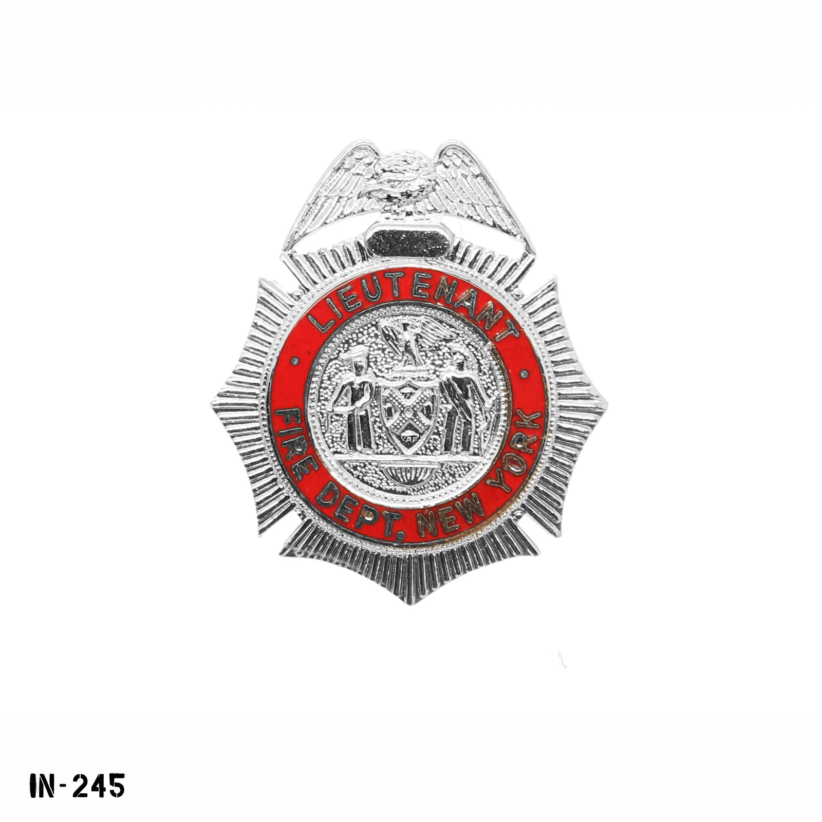 IN-245.jpg