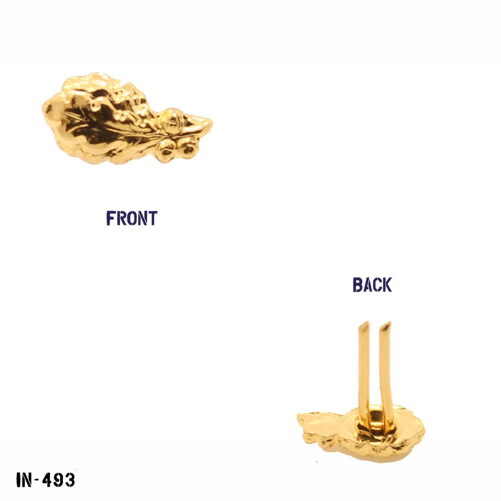 IN-493.jpg