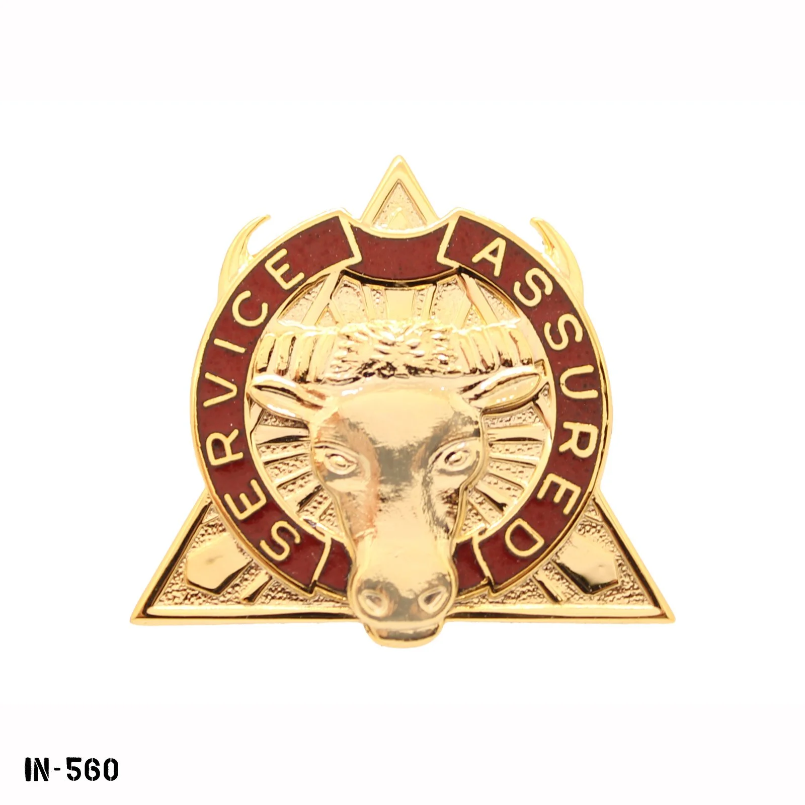 IN-560.jpg