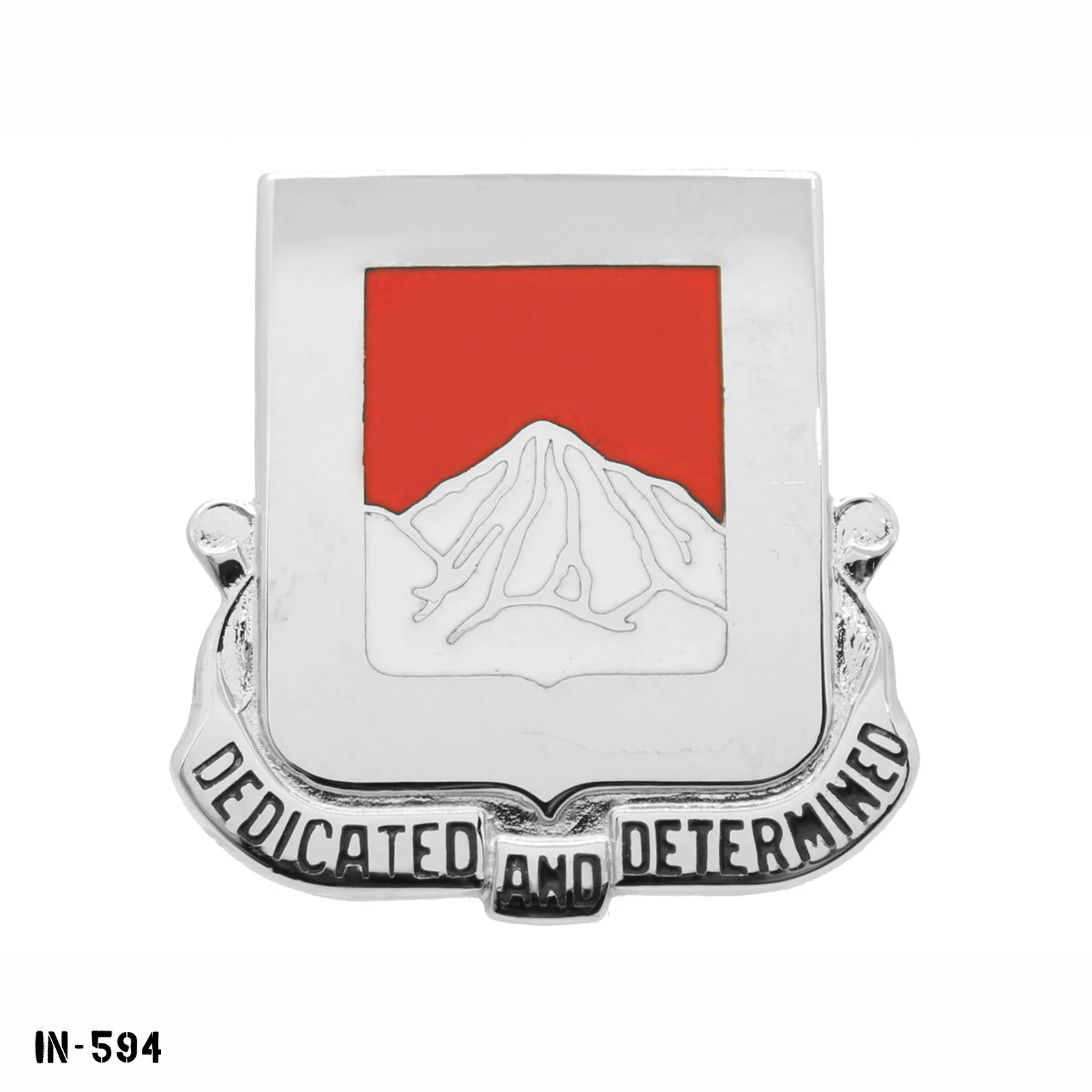 IN-594.jpg