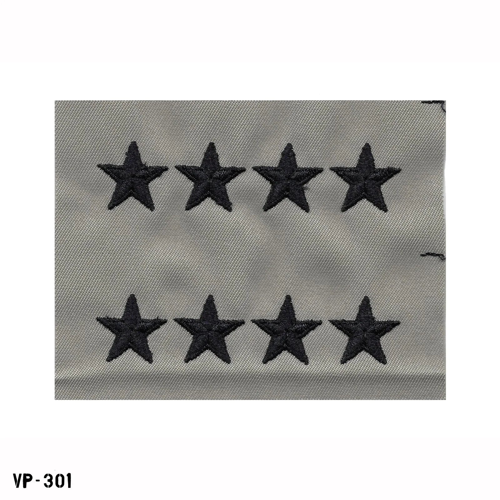 VP-301.jpg