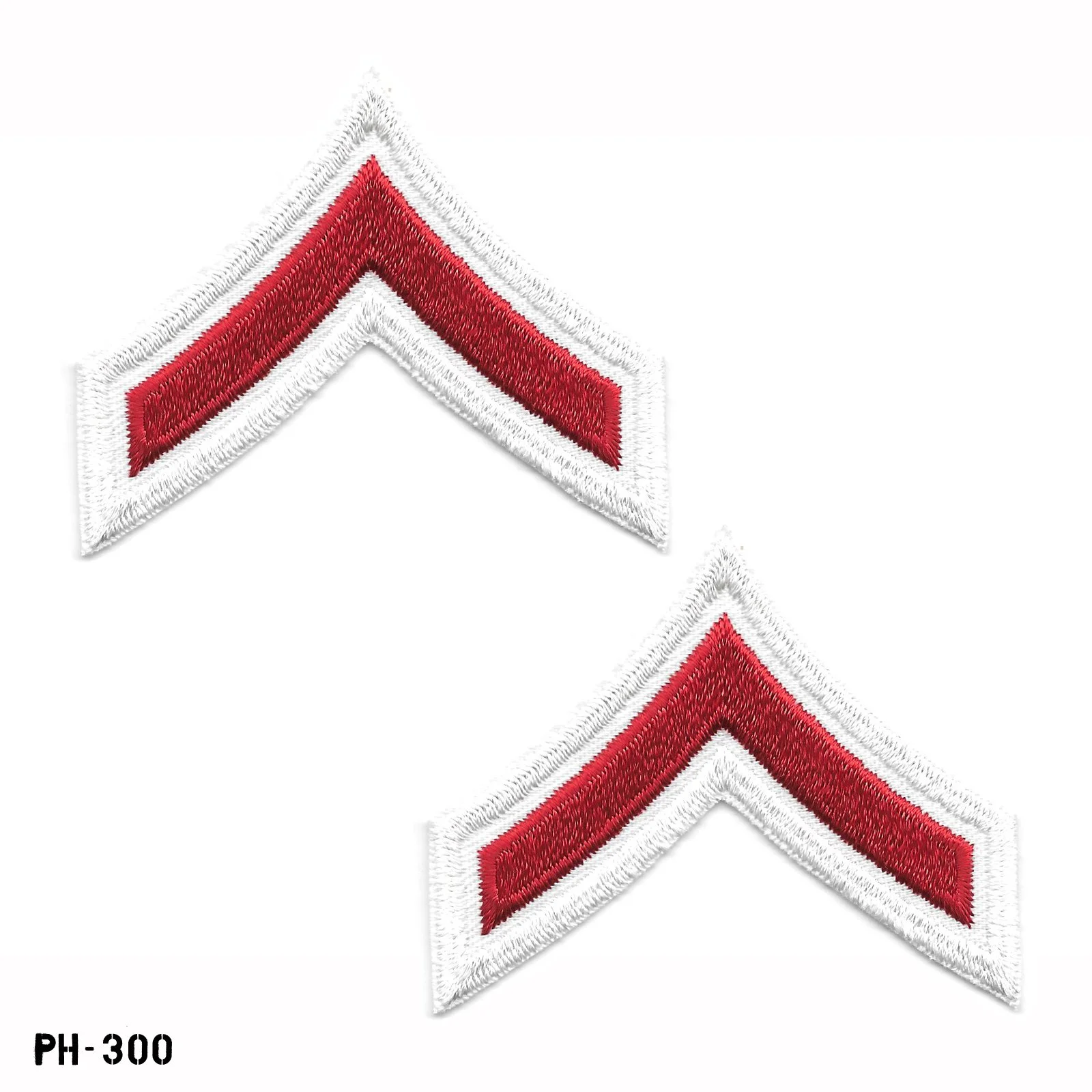 PH-300.jpg