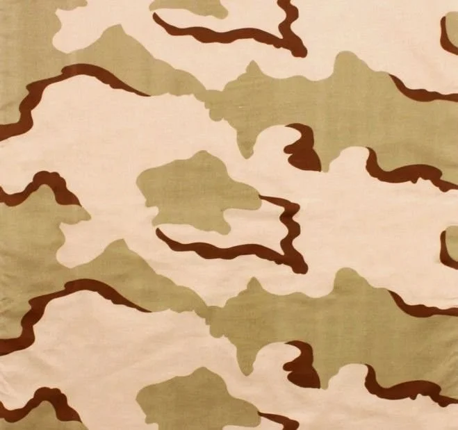 desertcamo.jpg