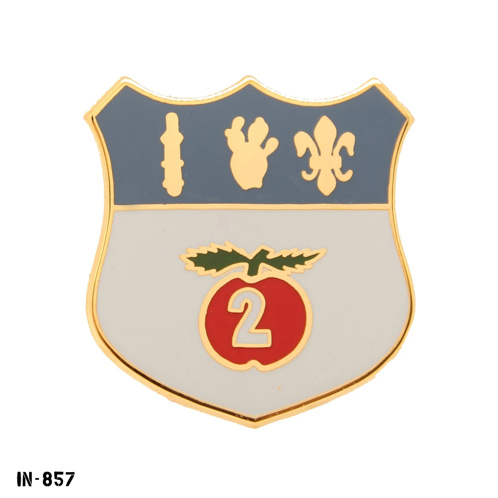 IN-857.jpg