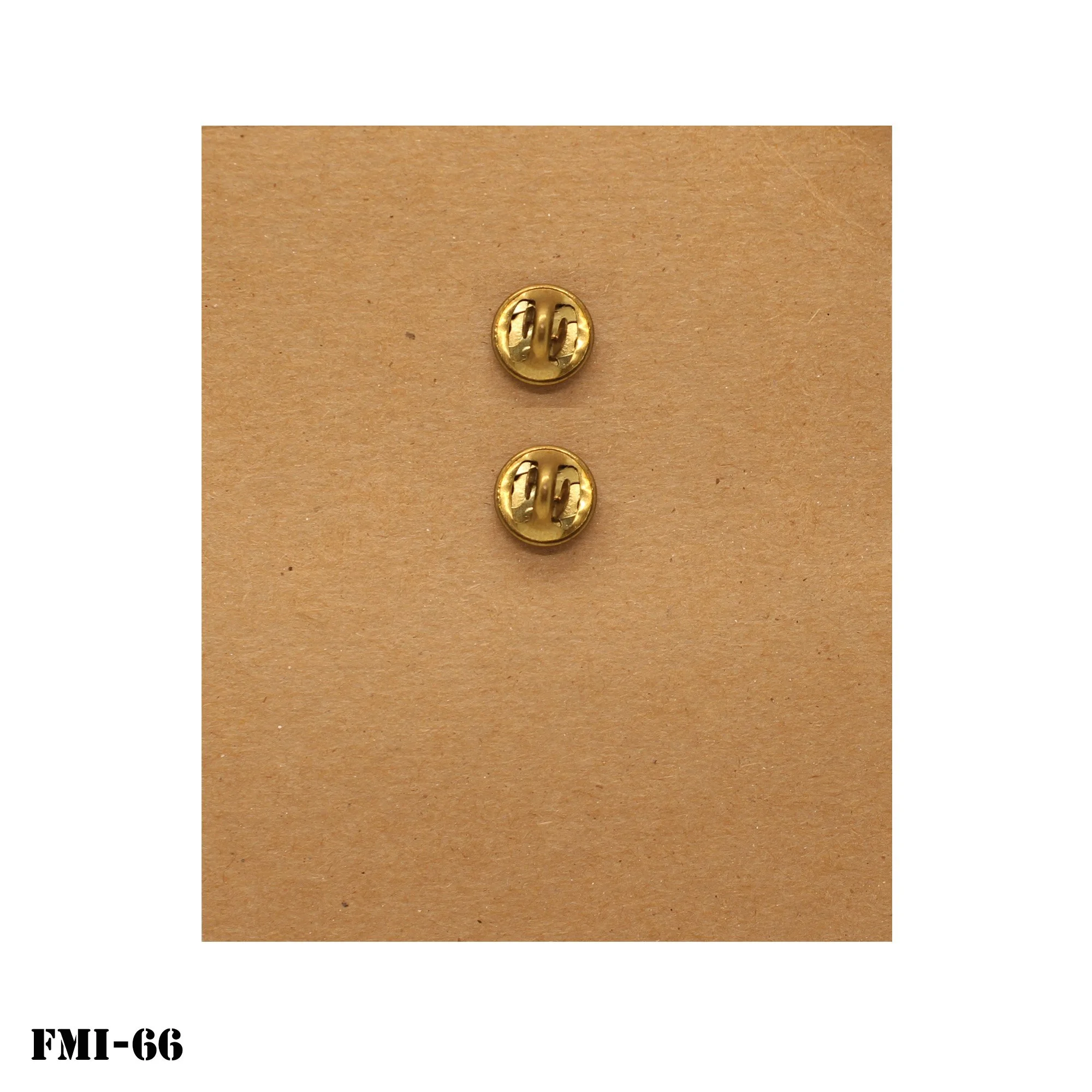 FMI-66-2.jpg