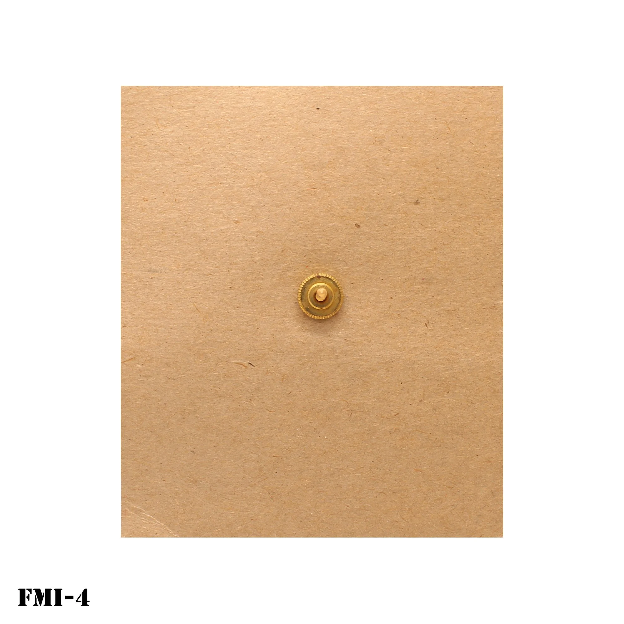 FMI-04-2.jpg