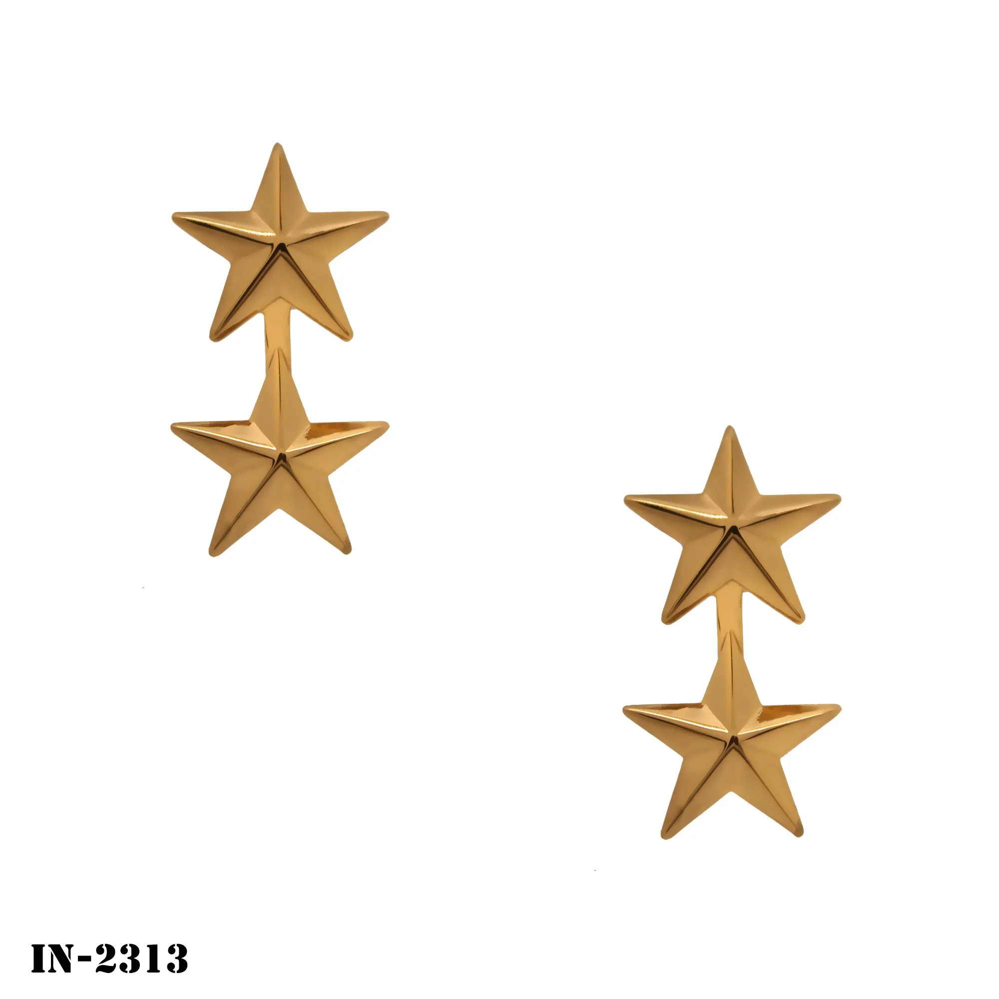 IN-2313.jpg