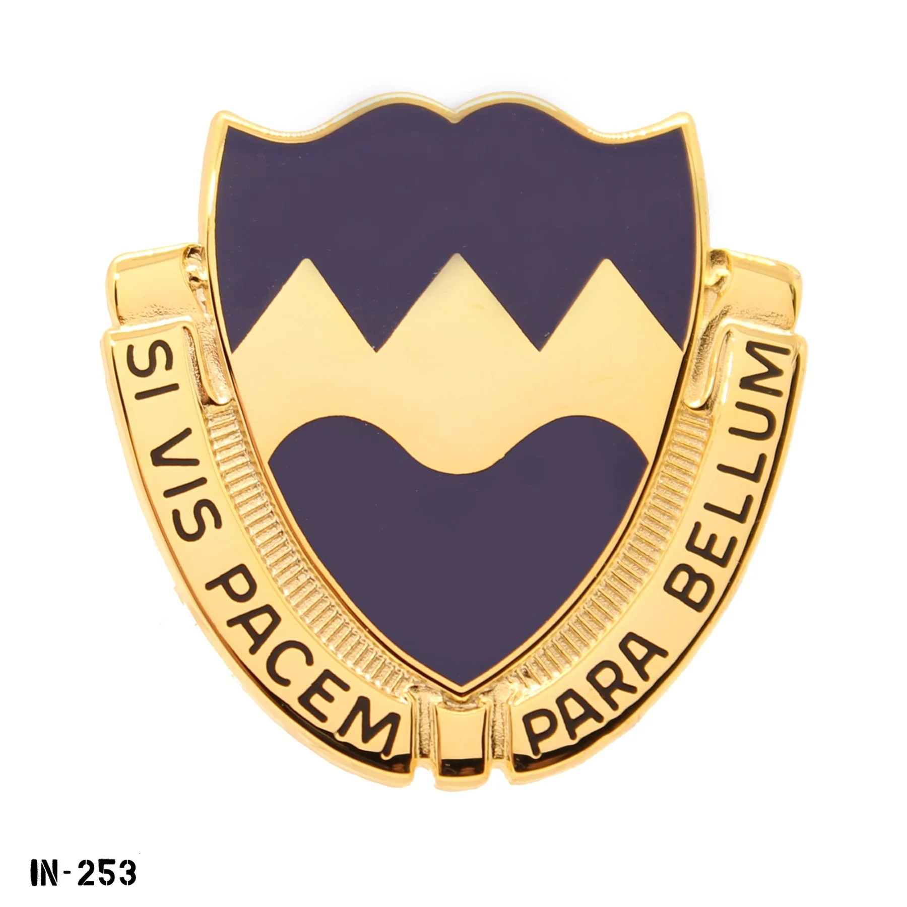 IN-253.jpg