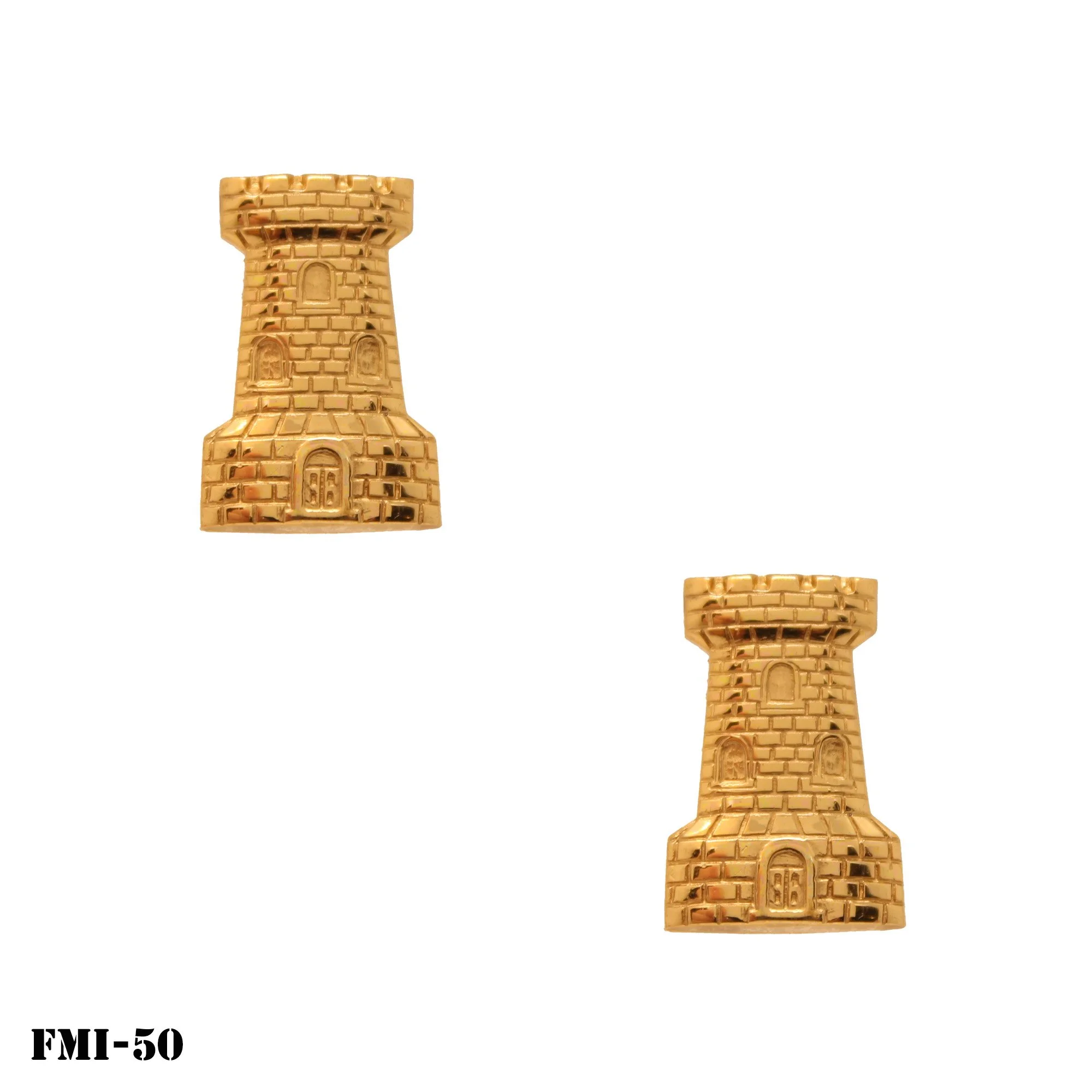 FMI-50.jpg