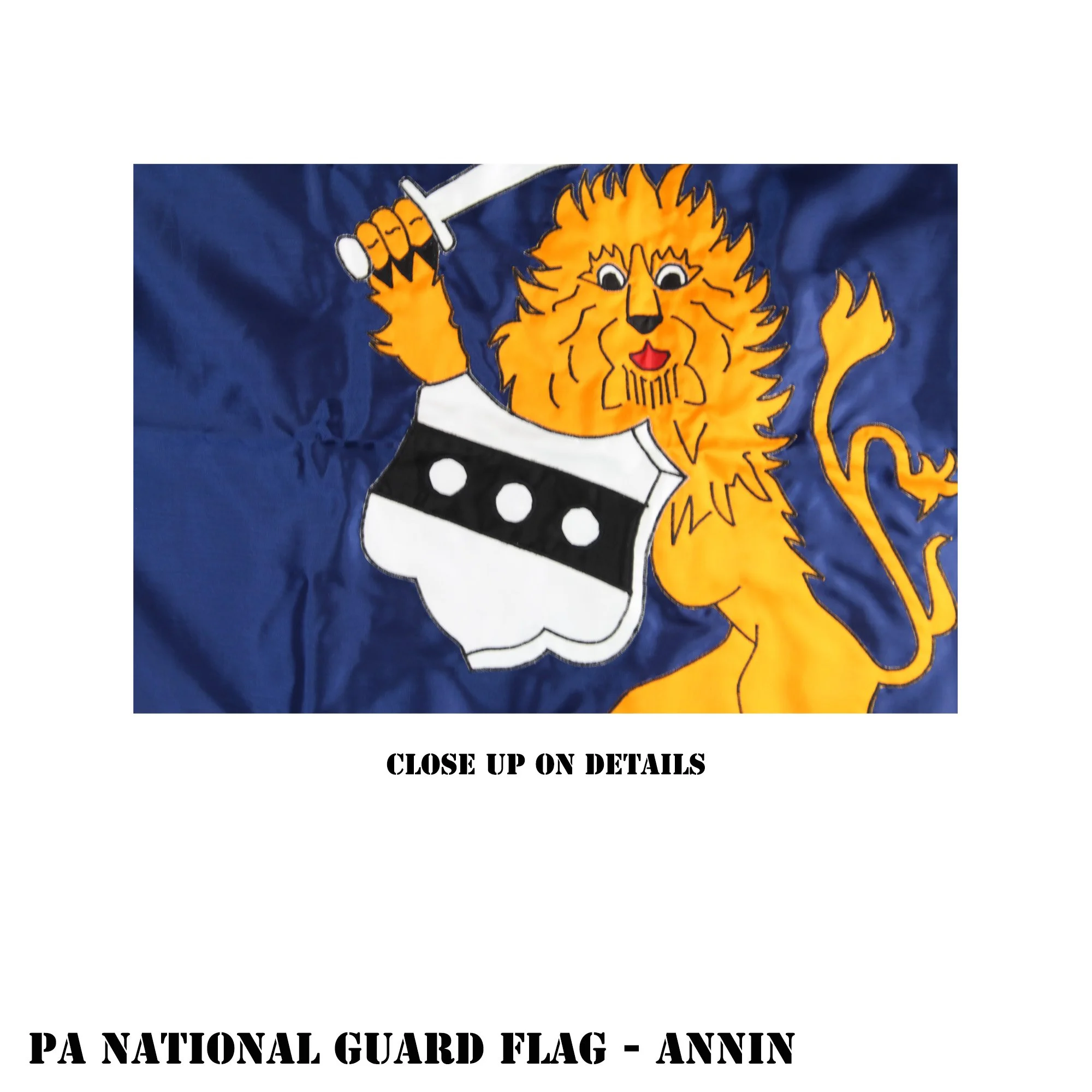 PA_Guard_Flag_03.jpg