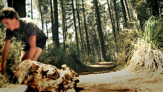 Under Armour - A Stroll in the Woods