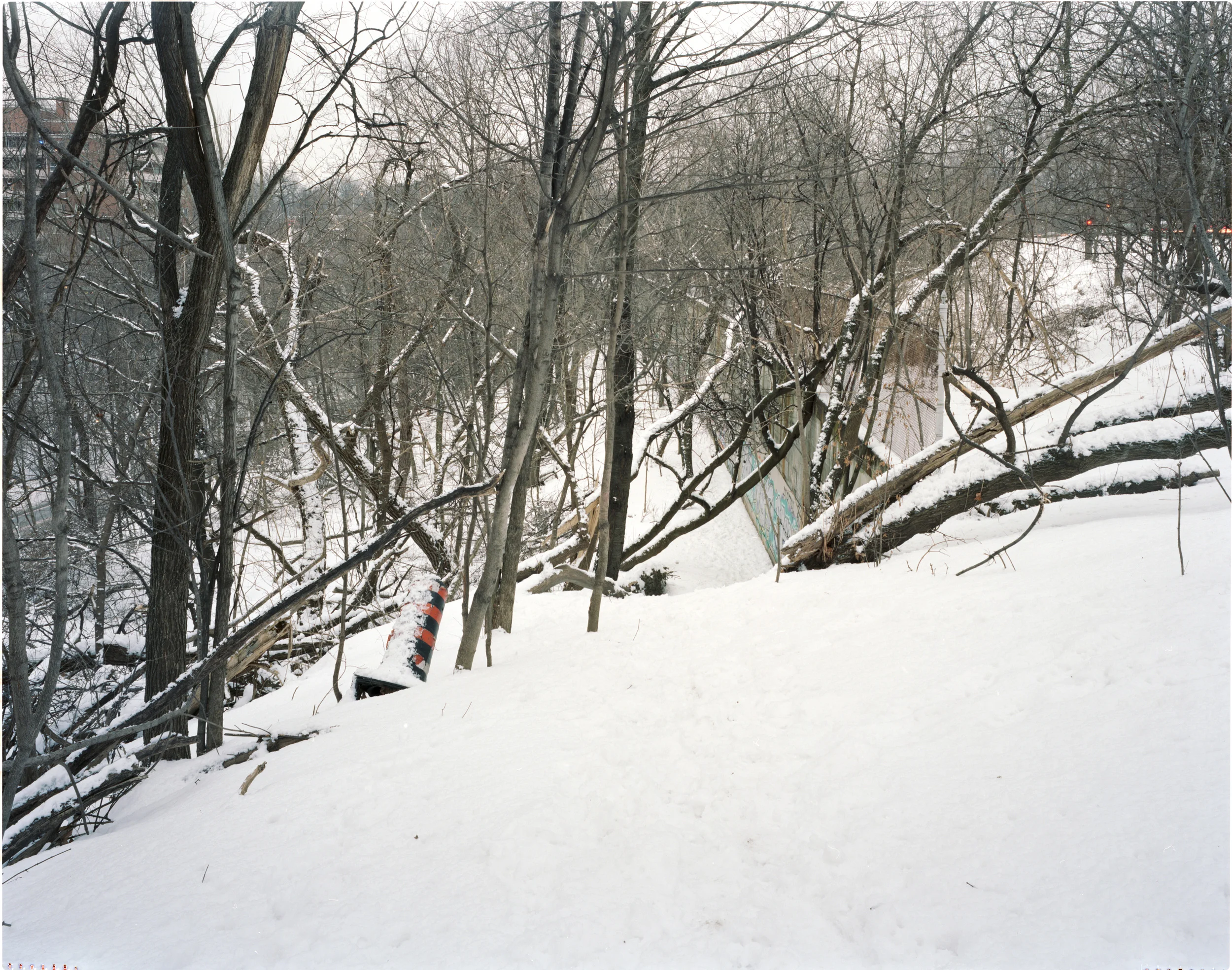 Snowscape