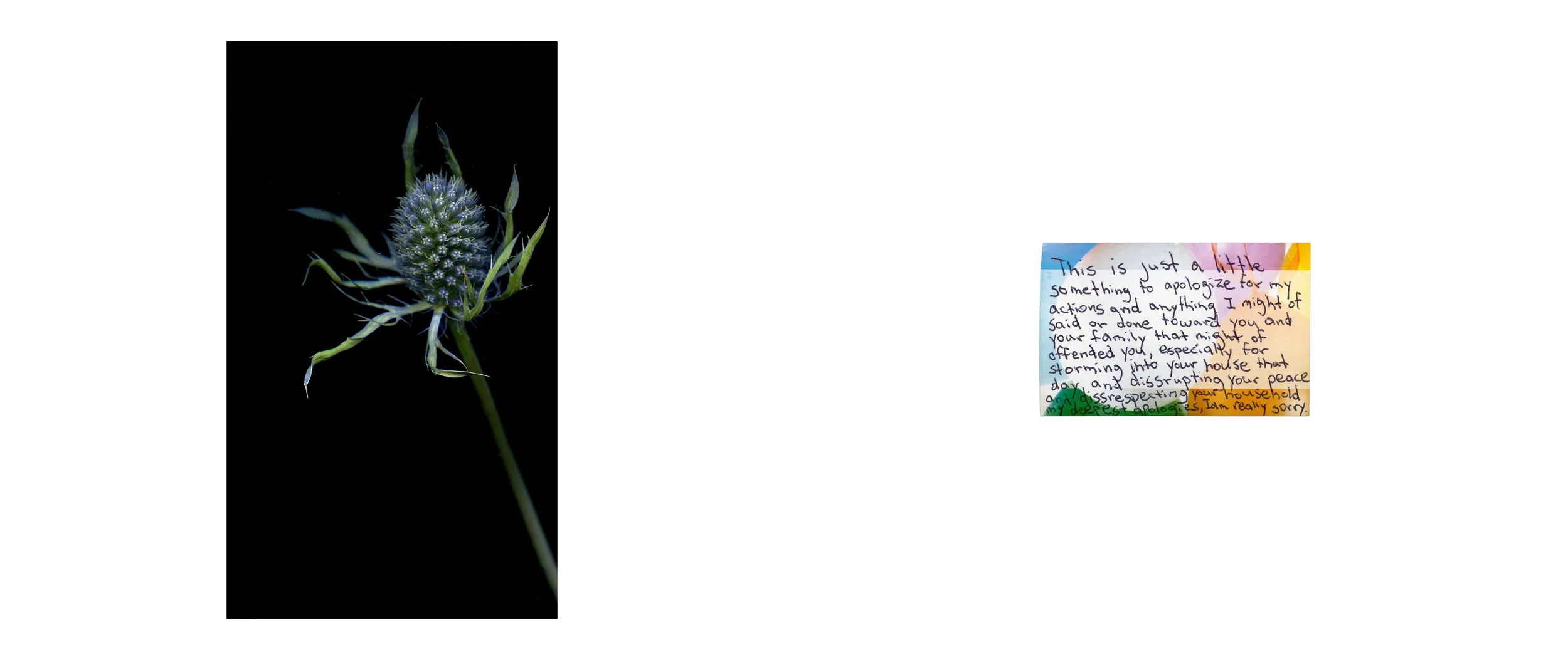 Floriography_FINAL18.jpg