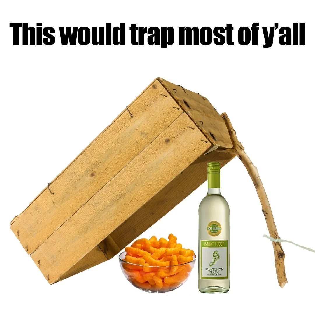 Wine Trap Meme.jpg