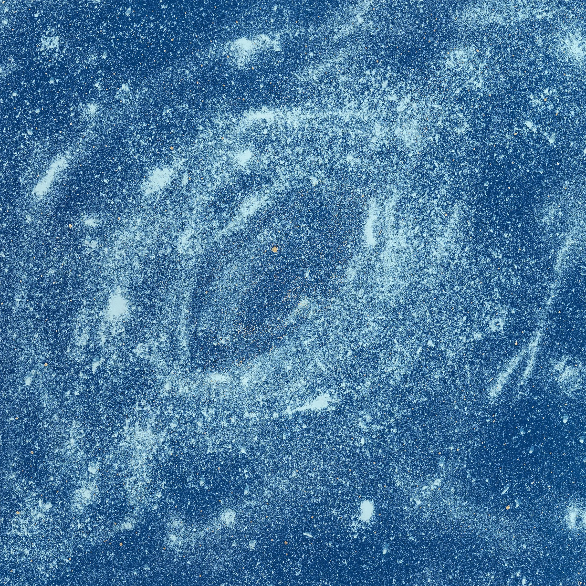 Caterina Pacialeo 4 - Star Dust Bill - 2026.jpg