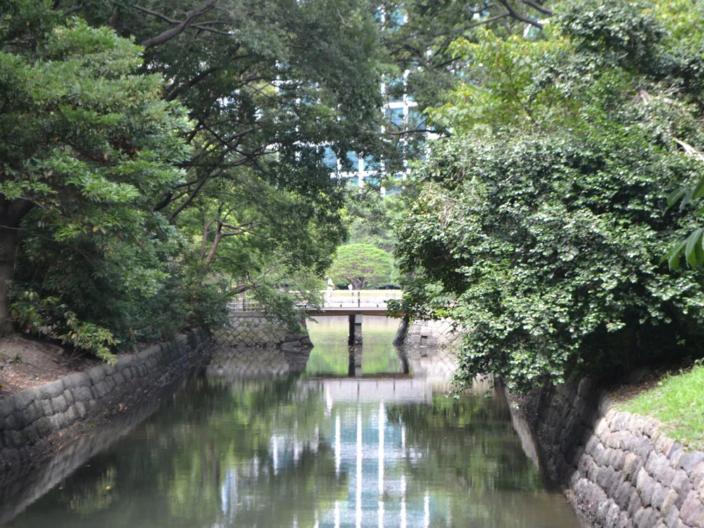The Teachers Visited a Beautiful Japanese Garden