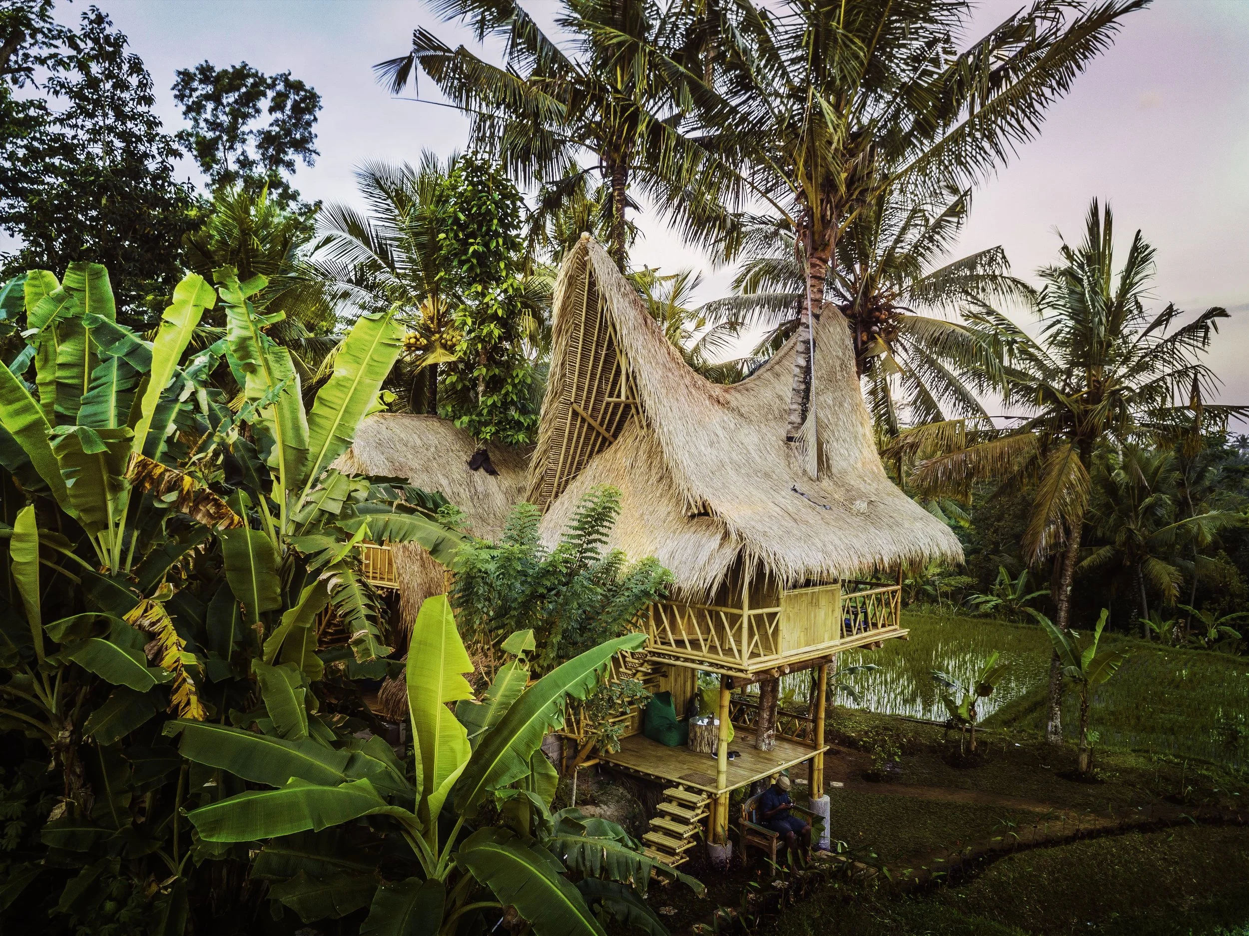 Video tour of Bali's Most Magical Airbnb Treehouse! — Traveller's Bazaar