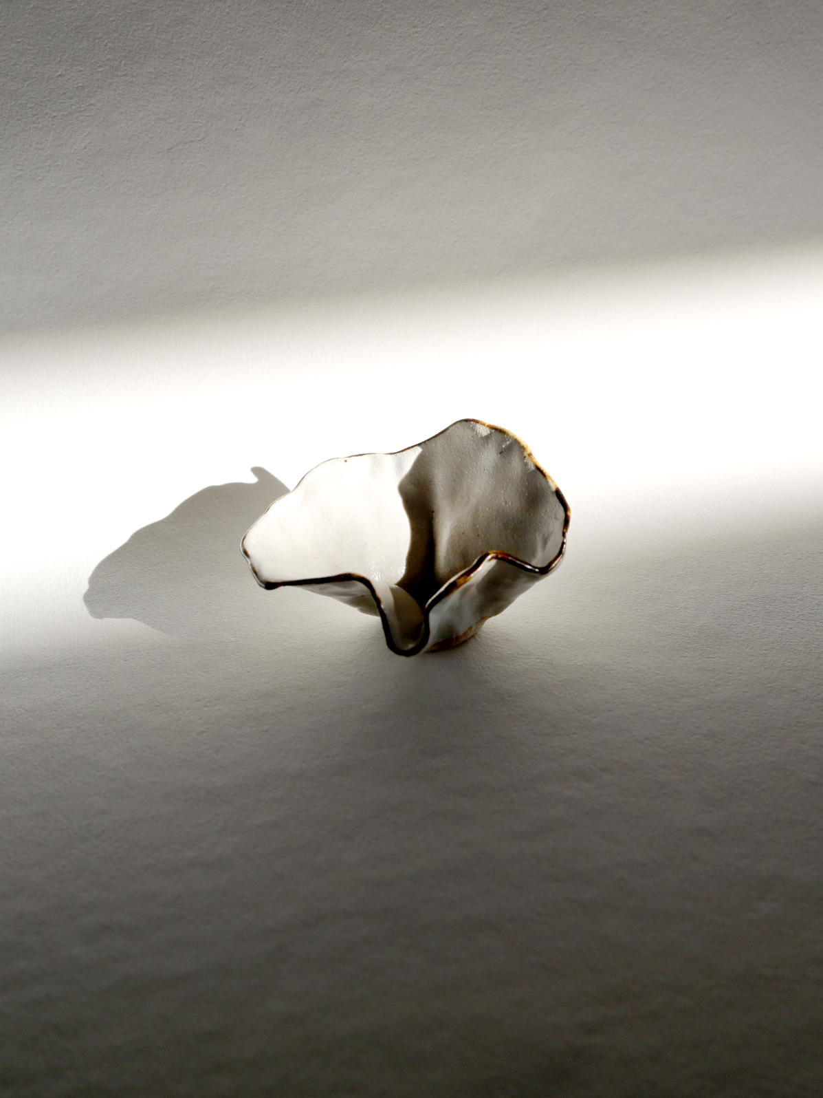 White with black floral bowl
