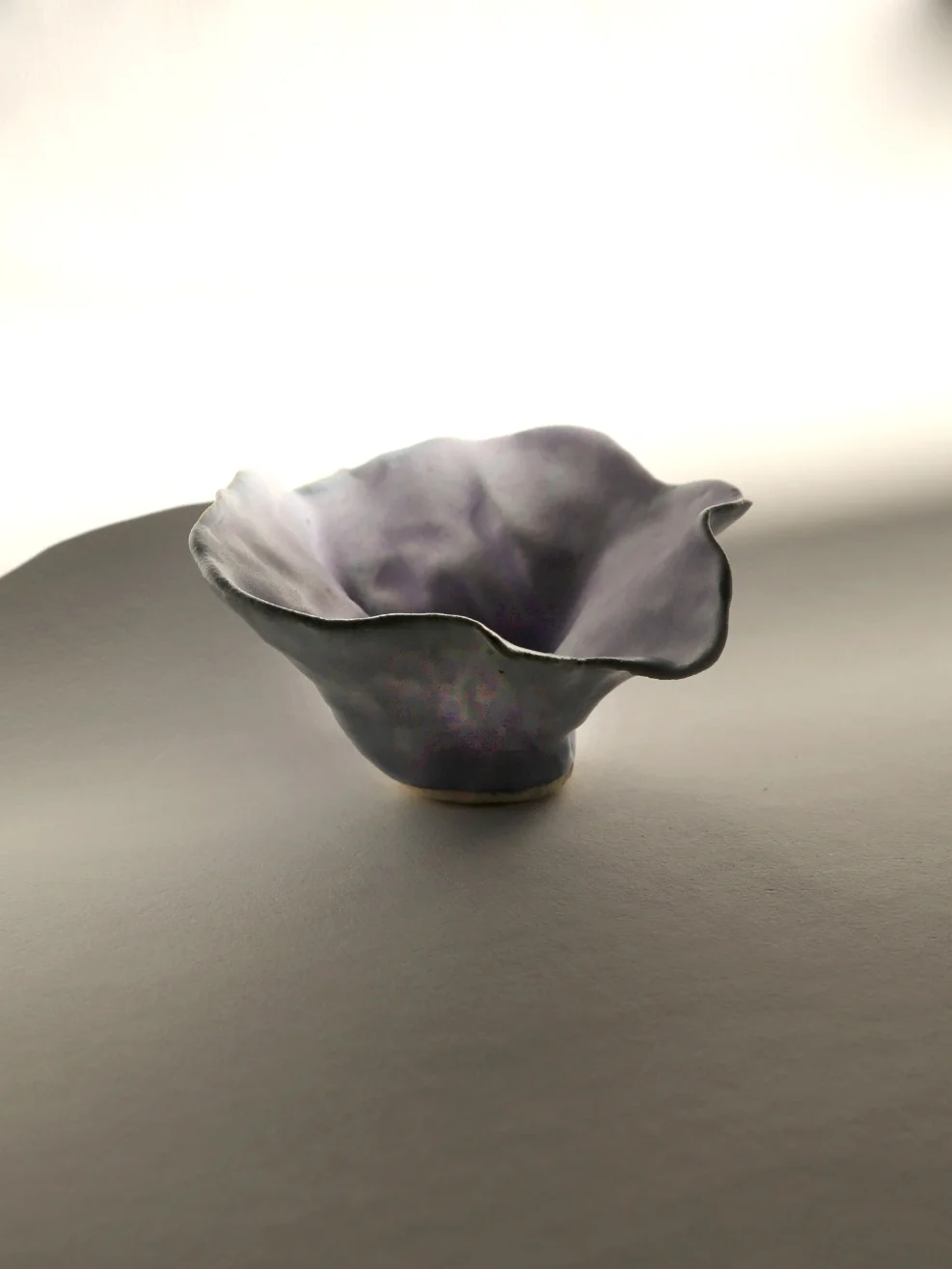 EF_FlowerPot_Lavendar2.jpg