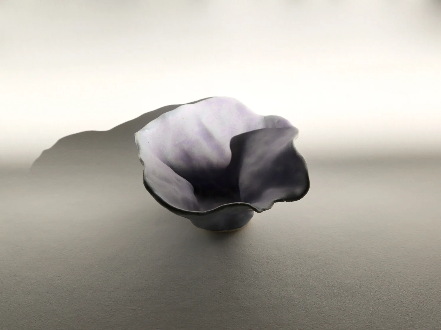 EF_FlowerPot_Lavendar.jpg