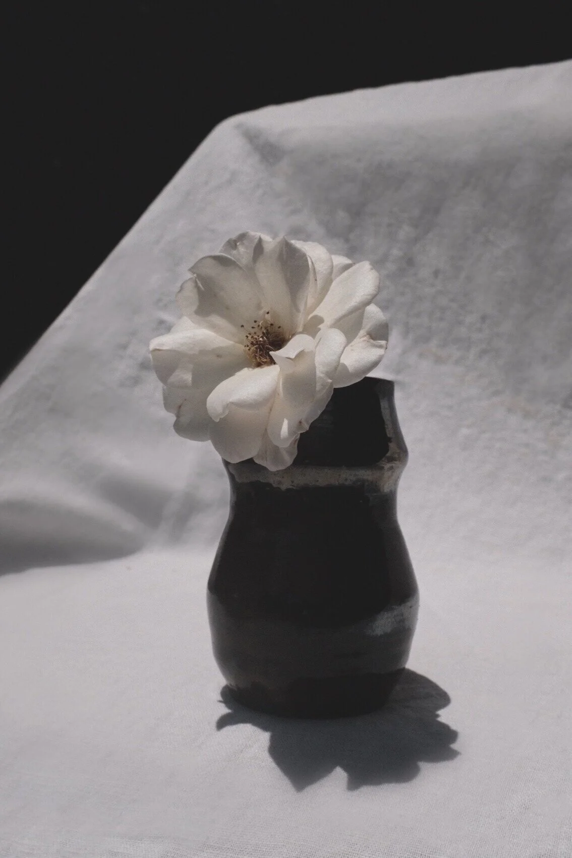 E6BEDB56-C73E-4EA9-B563-275474F632C9