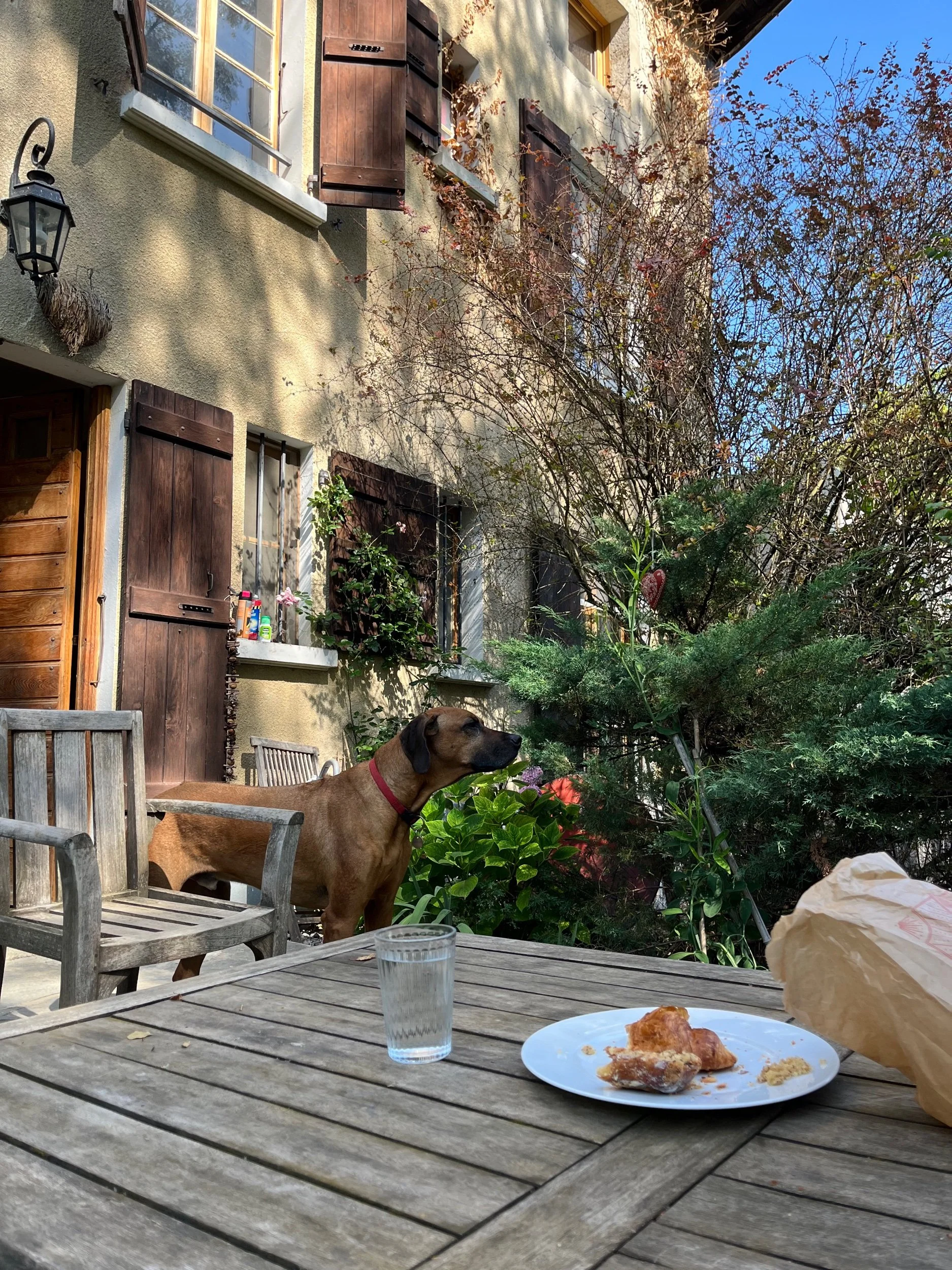 Switzerland Goal to House Sitting in France