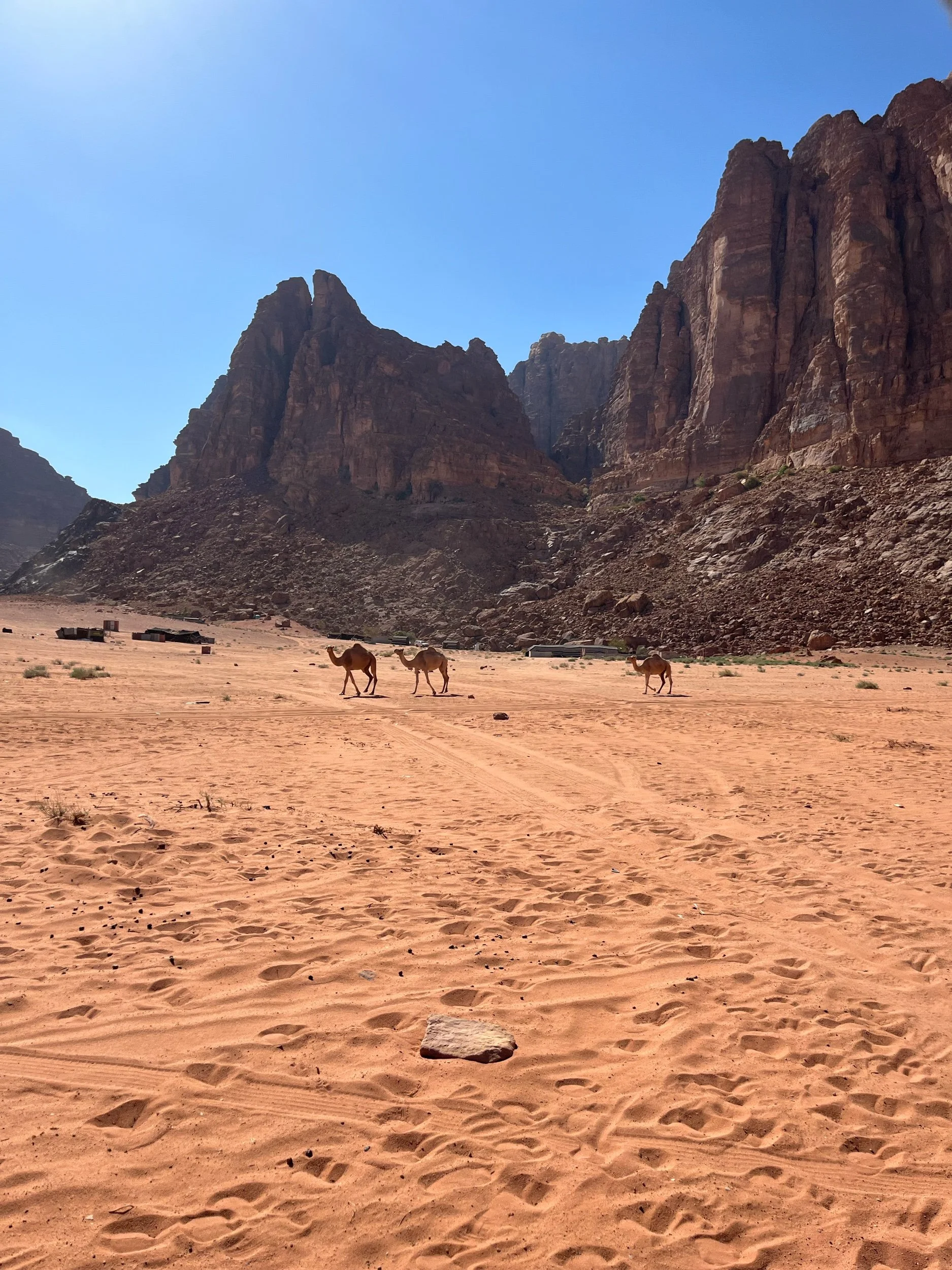 Note to self, seek out more deserts