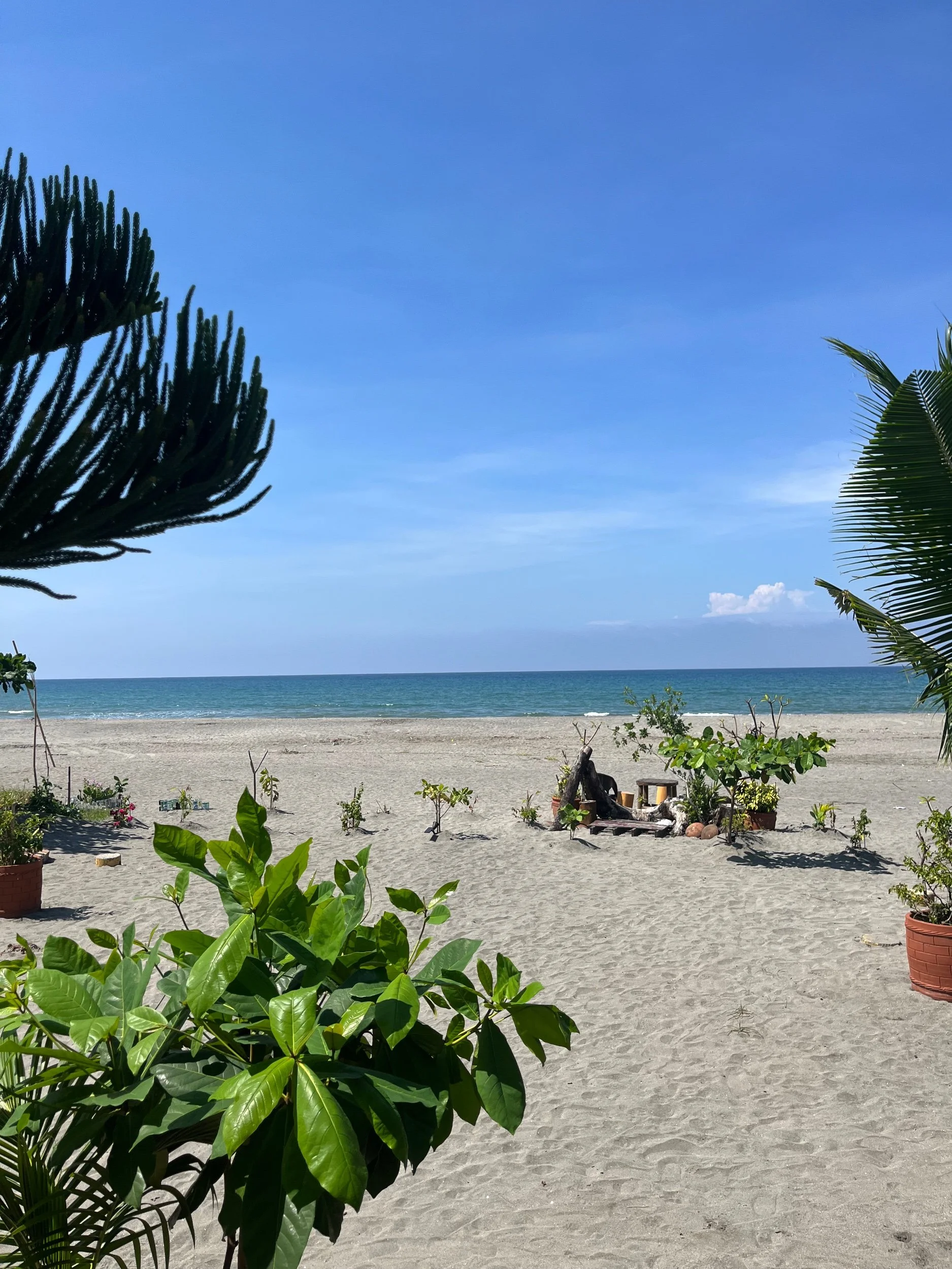 2 countries, 2 emergency rooms