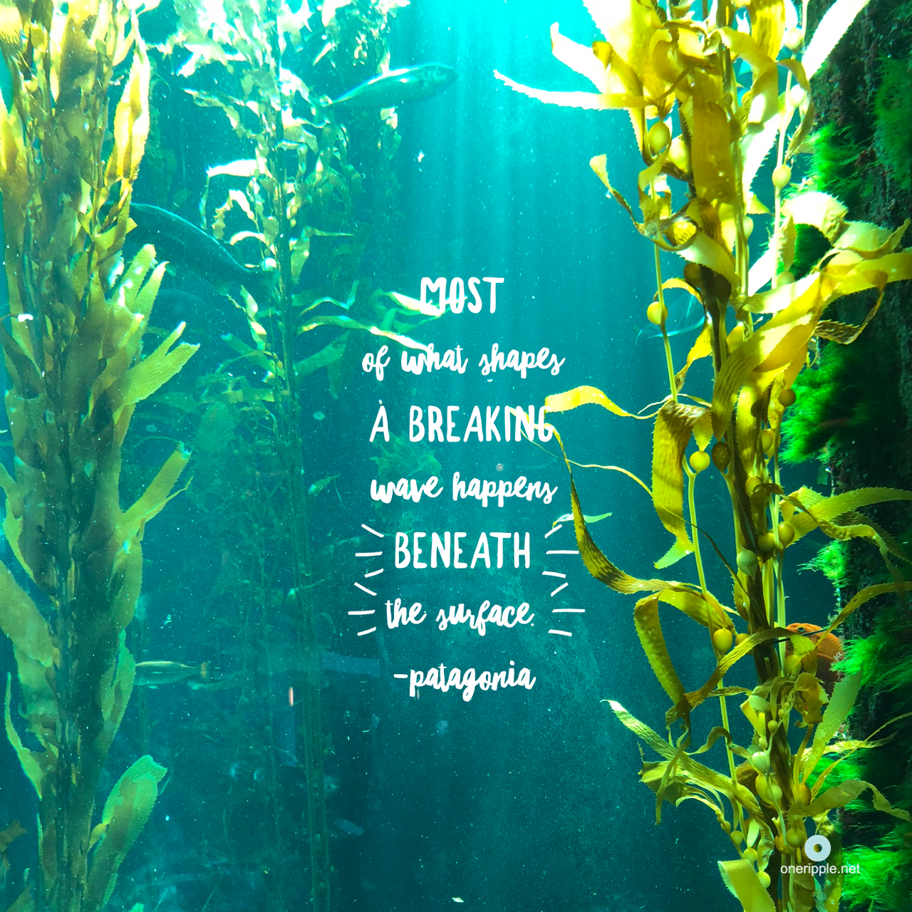 Beneath.png