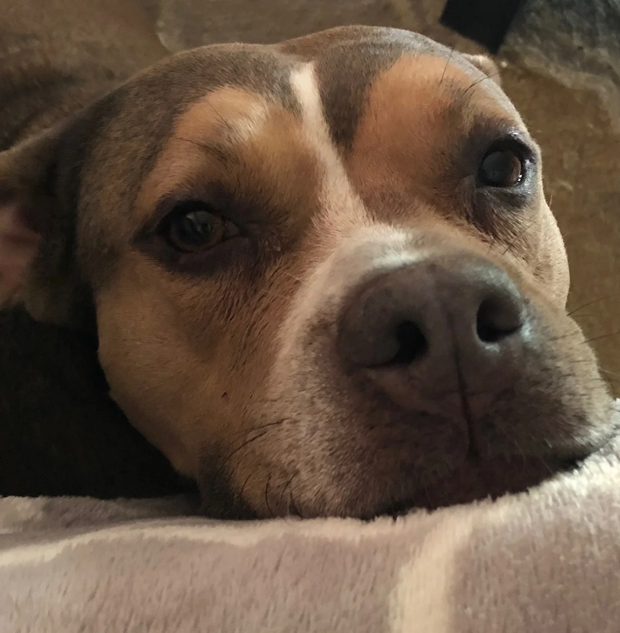 ...and our kid, Trixie.