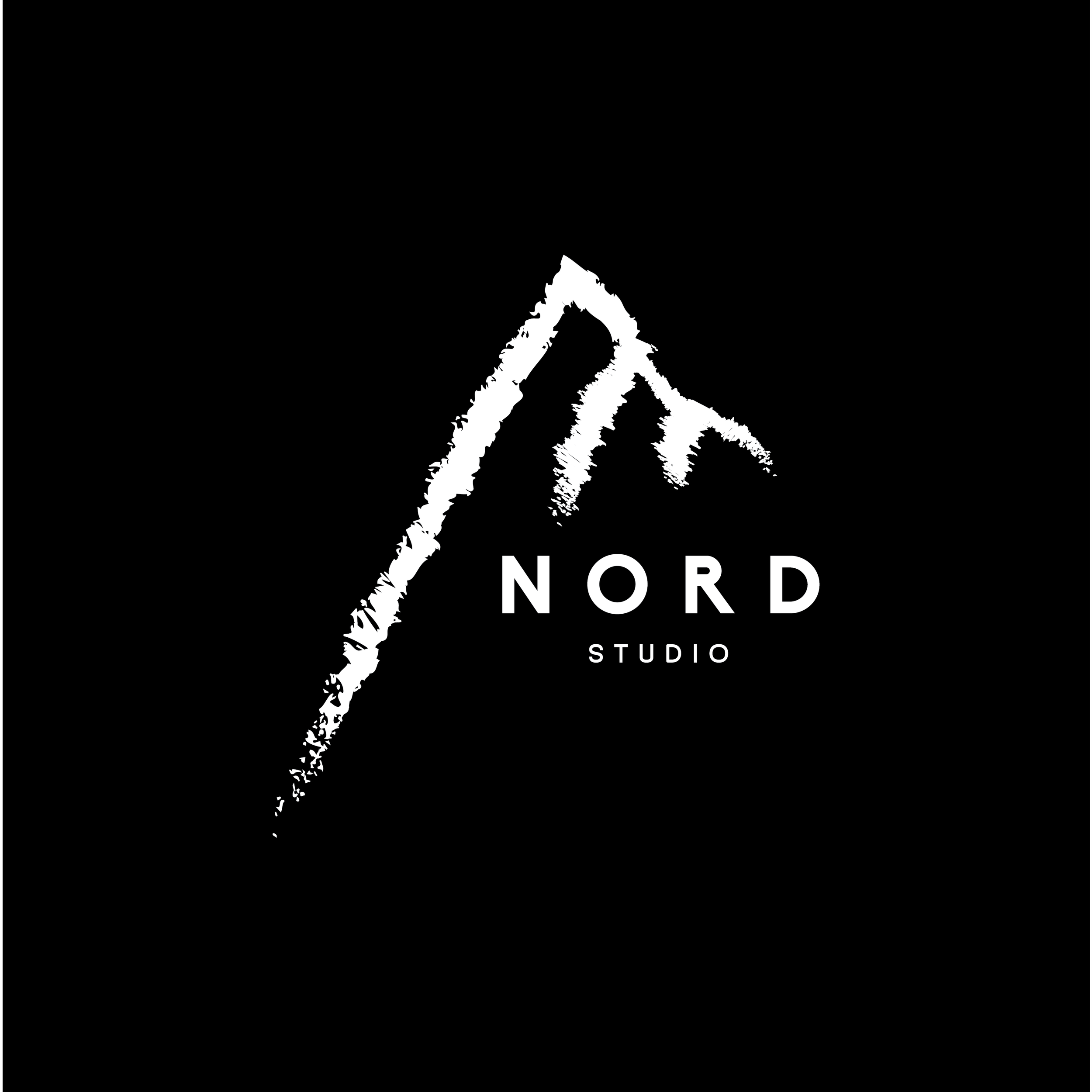 Nord Black Logo-01.png