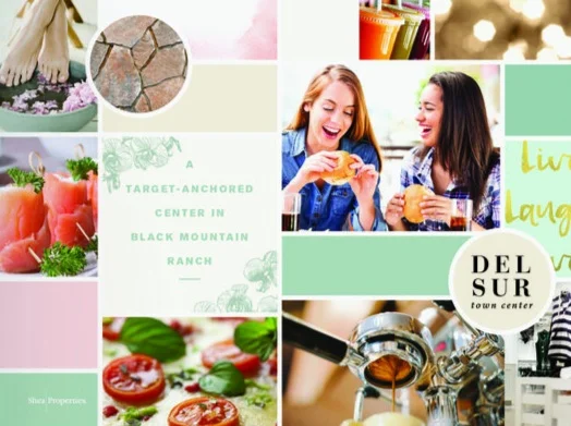 Shea Properties: Del Sur Towne Center