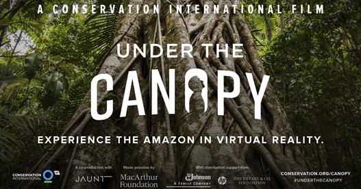 Under The Canopy